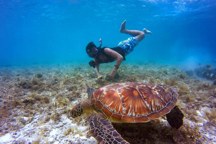 Snorkeling West Maui